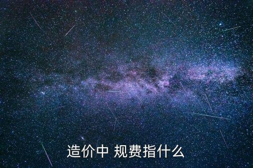 什么叫規(guī)費 稅金，規(guī)費是什么意思