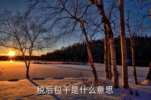 稅干是什么意思，干稅是什么意思
