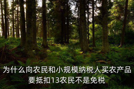 農(nóng)產(chǎn)品為什么要扣除，為什么向農(nóng)民和小規(guī)模納稅人買農(nóng)產(chǎn)品要抵扣13農(nóng)民不是免稅