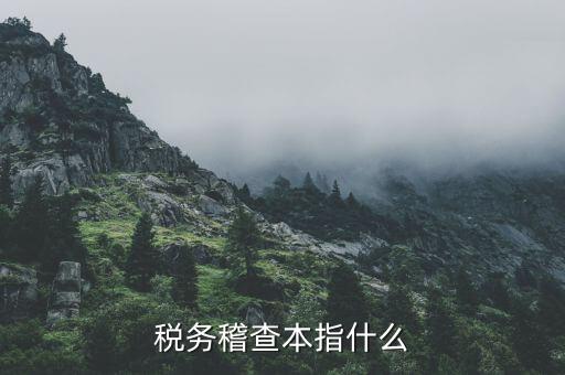 什么叫稅務(wù)稽查檢查科臺帳范本，稅務(wù)稽查本指什么
