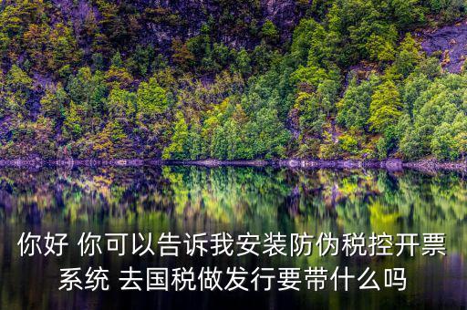 稅控發(fā)行是要做什么，稅控盤發(fā)行都呆哪些東西去稅務(wù)局需要法人去嗎
