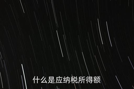 什么是年應(yīng)納稅所得額，什么是應(yīng)納稅所得額