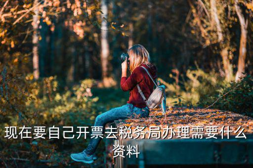 自己開專票要什么資料，開個人增值稅發(fā)票需要什么資料
