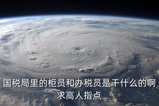 什么叫辦稅員，國稅局里的柜員和辦稅員是干什么的啊求高人指點(diǎn)