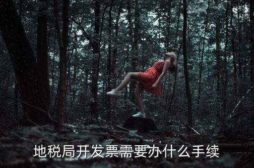 地稅申領(lǐng)發(fā)票需要什么手續(xù)，申請(qǐng)地稅發(fā)票需要什么資料