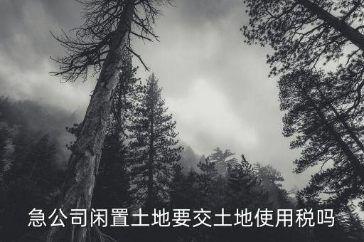 開發(fā)的土地閑置需繳什么稅，急公司閑置土地要交土地使用稅嗎