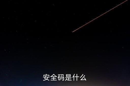 發(fā)票查詢安全碼是什么樣的，請問安全碼是啥
