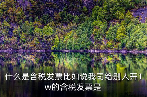 什么行業(yè)一般人發(fā)票含稅，什么類納稅人可以開增值稅專用發(fā)票