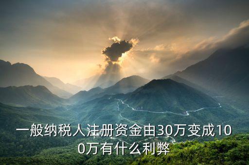 什么是案頭審核，一般納稅人注冊資金由30萬變成100萬有什么利弊