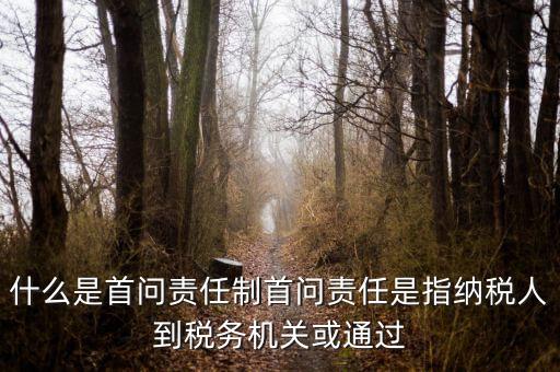 什么是首問責(zé)任制首問責(zé)任是指納稅人到稅務(wù)機(jī)關(guān)或通過