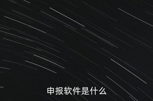 增值稅申報(bào)用什么軟件，申報(bào)軟件是什么