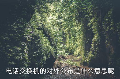 對外公開電話有什么，福建省廈門市湖里區(qū)人民法院對外公開號碼都有哪些