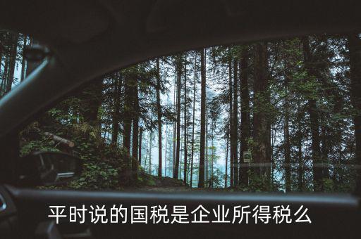 平時(shí)說的國稅是企業(yè)所得稅么