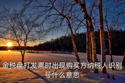 發(fā)票的付款方識別號是什么意思，開票方識別號是什么意思