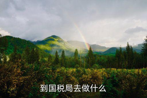 國(guó)稅局什么工作，國(guó)稅是做什么工作的