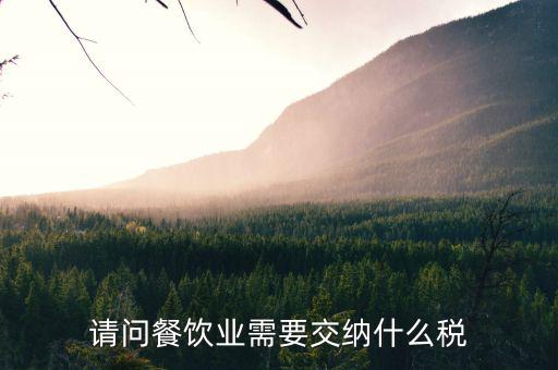 餐飲業(yè) 公司 交什么稅，餐飲企業(yè)繳納哪些稅