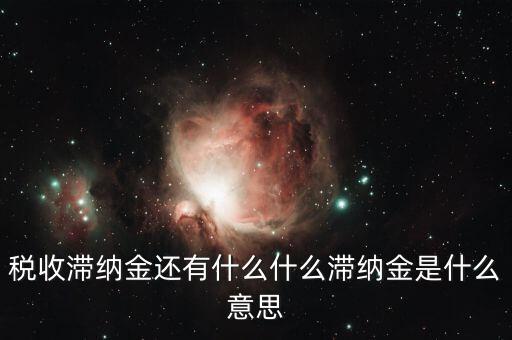 地稅滯納金是什么意思，稅收滯納金還有什么什么滯納金是什么意思
