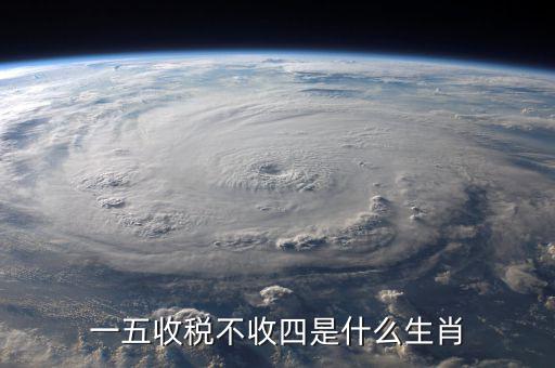什么生肖要打稅，稅意新榮打一生肖