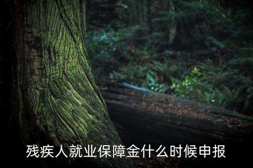 殘疾人保障金什么時(shí)候，殘疾人就業(yè)保障金怎么交什么時(shí)侯交會(huì)計(jì)分錄