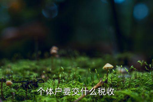 個(gè)體商戶納什么稅，個(gè)體戶要交什么稅收