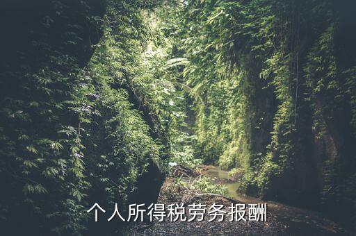 個(gè)稅什么情況勞務(wù)報(bào)酬，有關(guān)個(gè)稅勞務(wù)報(bào)酬