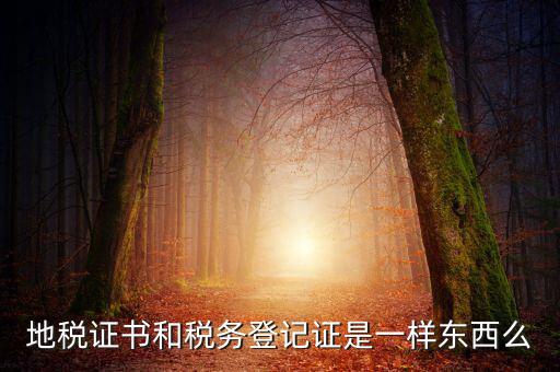 地稅登記證是什么，地方稅納稅資料封面上稅務(wù)登記證號(hào)是甚么