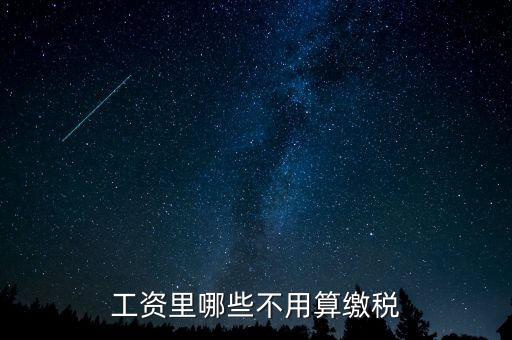 什么所得不用上稅，哪些類型的工資薪金所得不用納稅