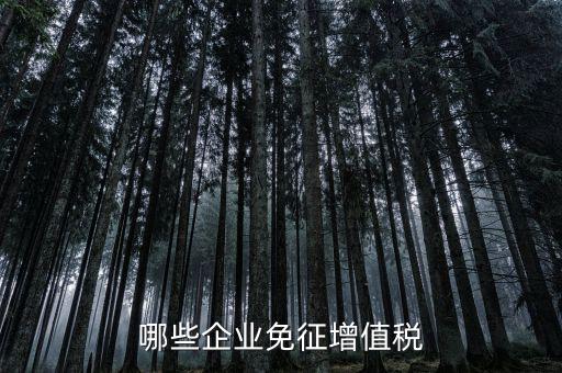 哪些企業(yè)免征增值稅