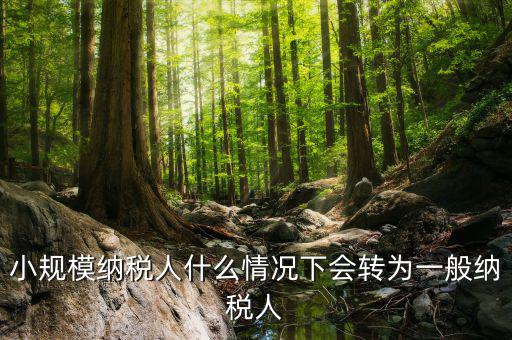 小規(guī)模納稅人什么情況下會轉(zhuǎn)為一般納稅人