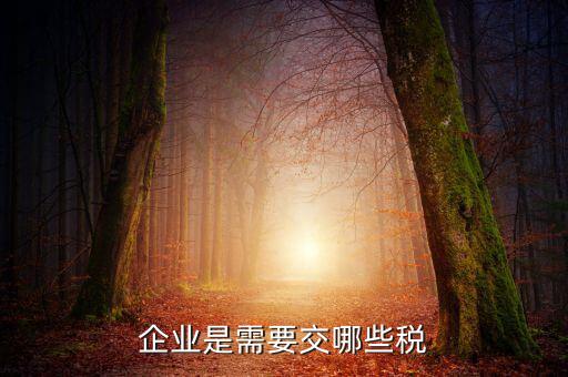 公司要交什么稅，企業(yè)是需要交哪些稅
