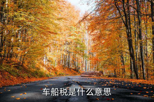 車船稅干什么用的，車船稅具體有些什么用處呢