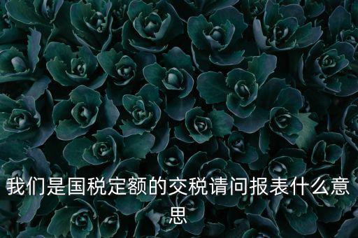 我們是國稅定額的交稅請問報(bào)表什么意思