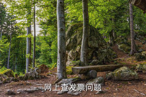 查發(fā)票流向什么意思，網上查發(fā)票問題