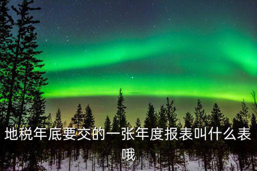 地稅年底要交的一張年度報(bào)表叫什么表哦