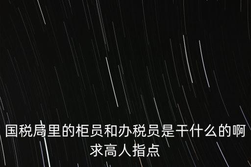 國稅局里的柜員和辦稅員是干什么的啊求高人指點(diǎn)