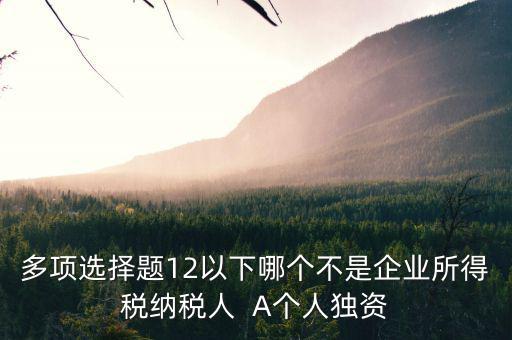 什么納稅人，多項(xiàng)選擇題12以下哪個不是企業(yè)所得稅納稅人  A個人獨(dú)資