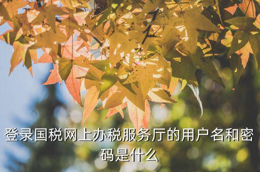 江蘇國稅電子稅務局登錄用戶名是什么，江蘇國稅網(wǎng)上辦稅服務廳的用戶名是什么