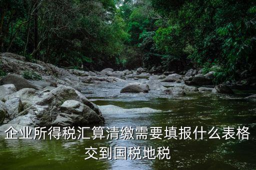 匯算清繳填寫什么表格，請教關于企業(yè)所得稅匯算清繳中需要填寫的表格的一些問題