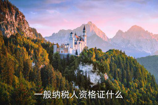 什么是一般納稅人證明，一般納稅人資格證什么
