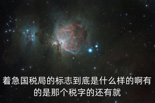 稅優(yōu)識(shí)別碼是什么樣的，納稅人辨認(rèn)號(hào)和代碼是1樣的