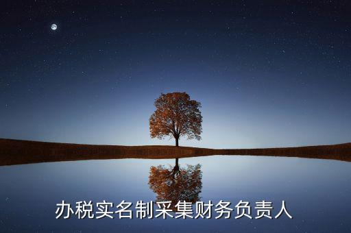什么是實(shí)名辦稅，辦稅實(shí)名制采集財(cái)務(wù)負(fù)責(zé)人