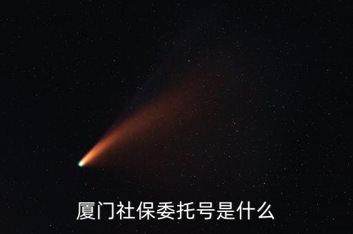 地稅社保委托號(hào)是什么，三證合一后去地稅局打社保單子說(shuō)是與社保局的納稅人識(shí)別號(hào)不一