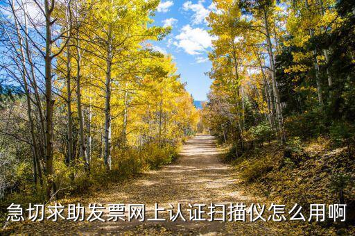 CA登陸可以開(kāi)什么票，京東上什么可以開(kāi)增值稅專用發(fā)票
