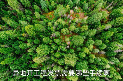 外地項(xiàng)目開票需要什么手續(xù)，在外地開票需要什么手續(xù)