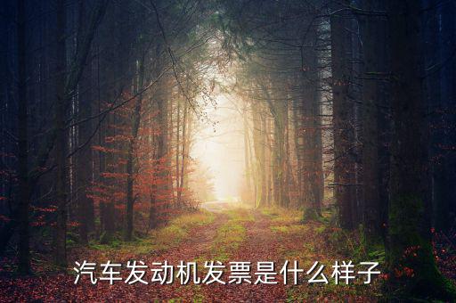 汽車發(fā)動機發(fā)票是什么樣子