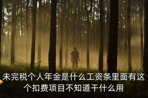 個(gè)稅年金是什么，未完稅個(gè)人年金是什么工資條里面有這個(gè)扣費(fèi)項(xiàng)目不知道干什么用