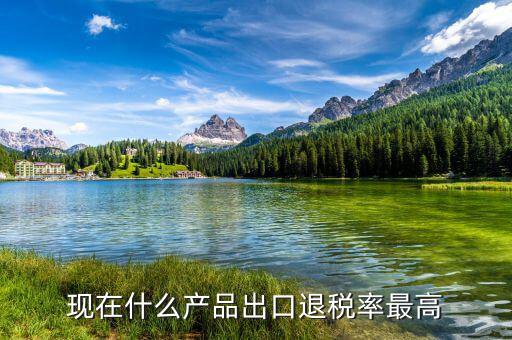出口什么退稅高，08年哪些產(chǎn)品出口退稅比較高的