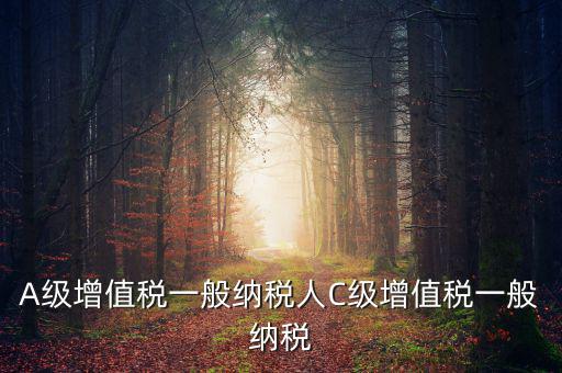 b級納稅人是什么意思，A級增值稅一般納稅人C級增值稅一般納稅