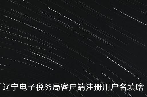 網(wǎng)上辦稅帳號(hào)是什么，登錄國(guó)稅網(wǎng)上辦稅服務(wù)廳的用戶名和密碼是什么