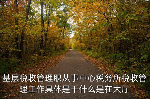 稅源管理干什么，基層稅收管理職從事中心稅務(wù)所稅收管理工作具體是干什么是在大廳